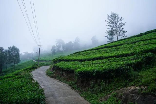 Lime Light Resort Munnar Εξωτερικό φωτογραφία