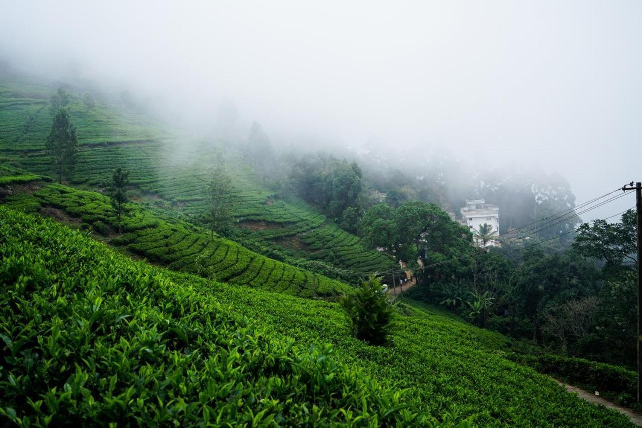 Lime Light Resort Munnar Εξωτερικό φωτογραφία